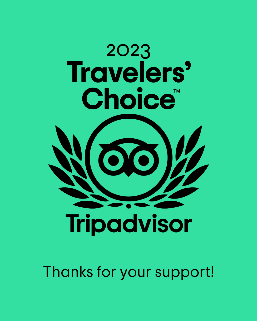 Tripadvisor Travellers Choice award 2020